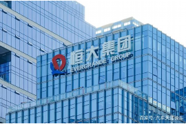 鹤城要账公司更多成功案例详情